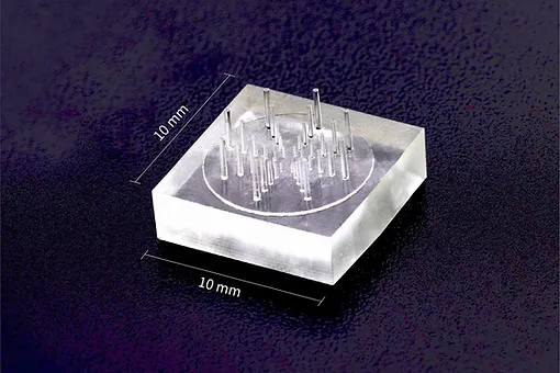 3D PDMS Cylinder array