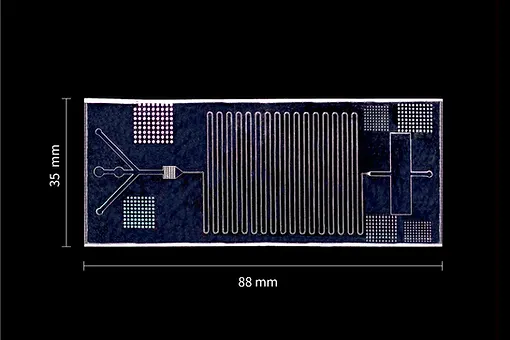 3D PDMS Microfluidic chip-2